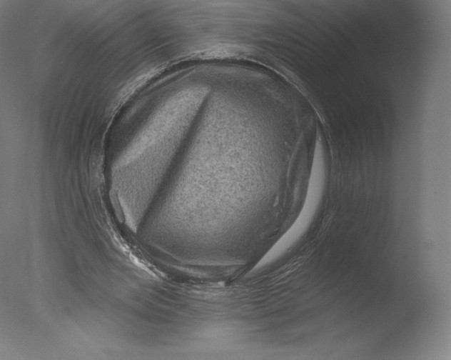 X0000076320485200610201643