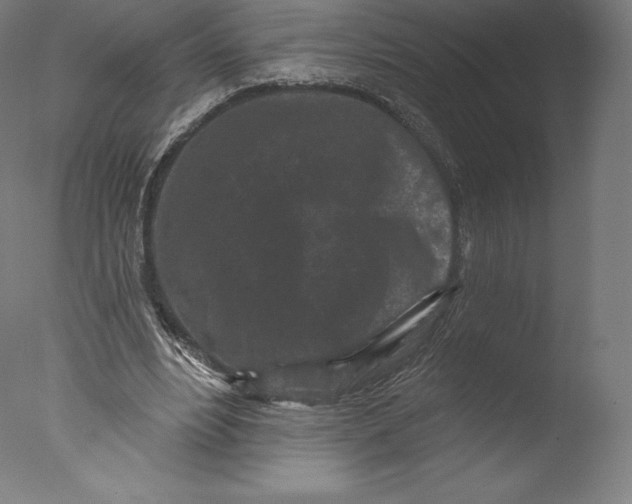 X0000076320488200610201642