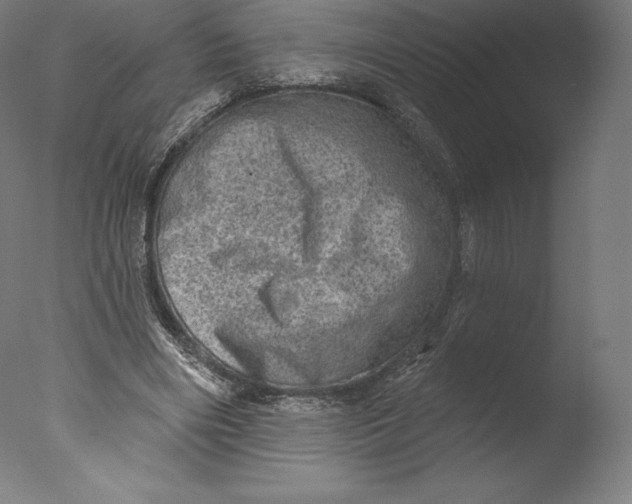 X0000076320490200610201642