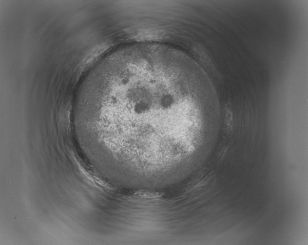 X0000076320491200610201642