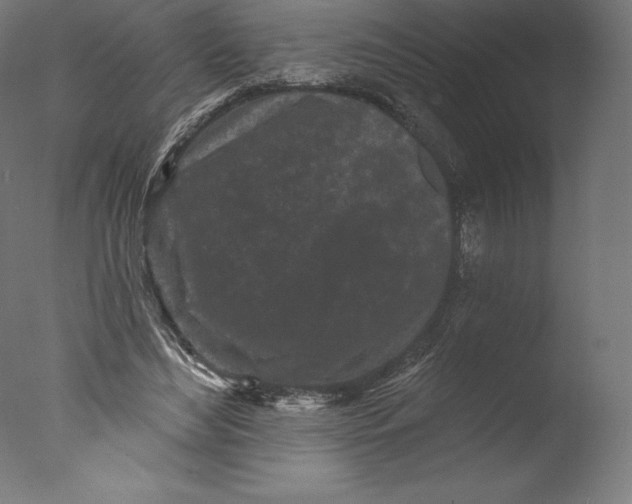 X0000076320492200610201642