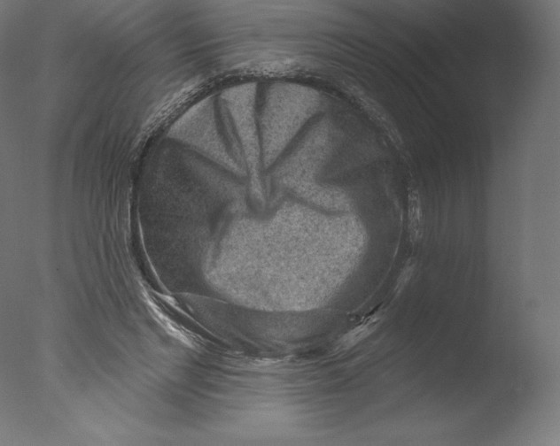 X0000076320493200610201642