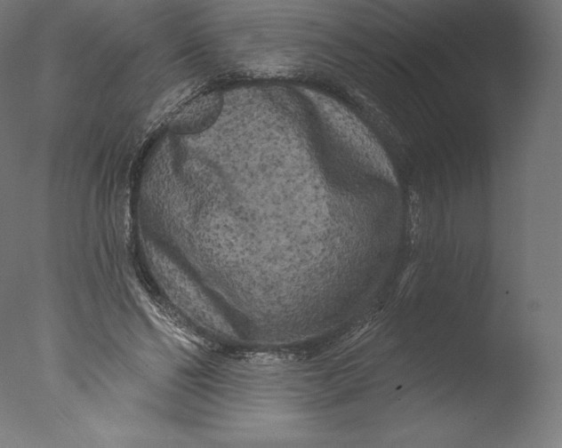 X0000076320494200610201642