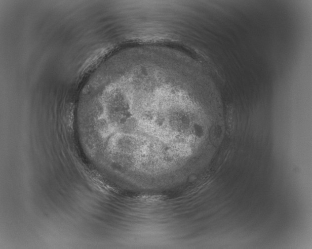 X0000076320495200610201642