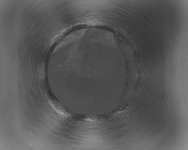 X0000076320496200610201642