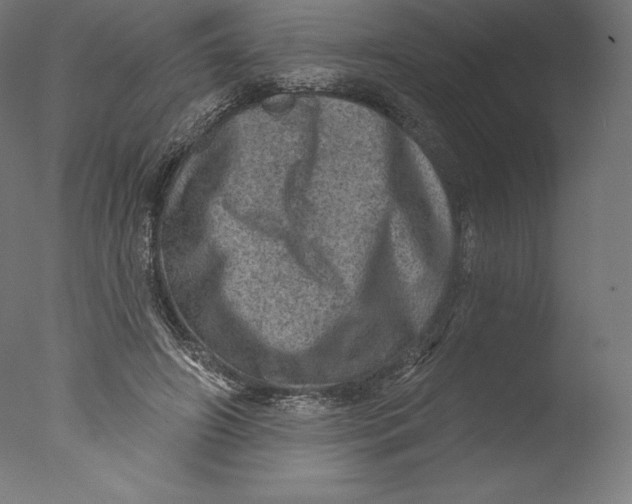 X0000076320498200610201642