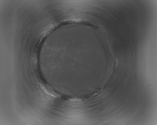 X0000076320500200610201642