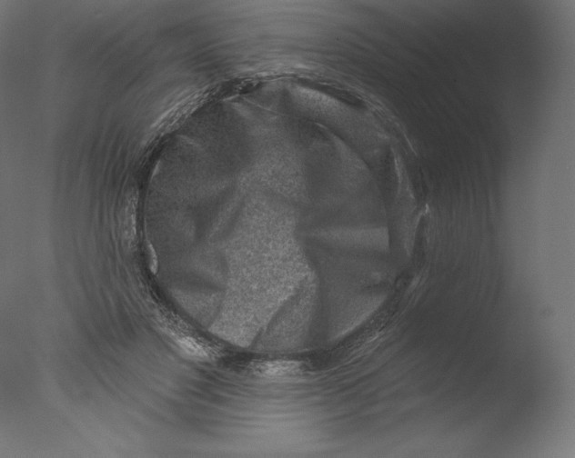 X0000076320501200610201642