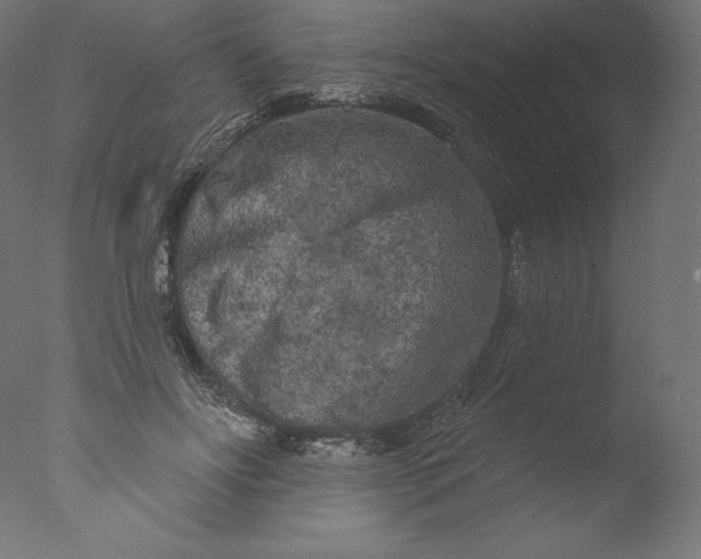 X0000076320502200610201642