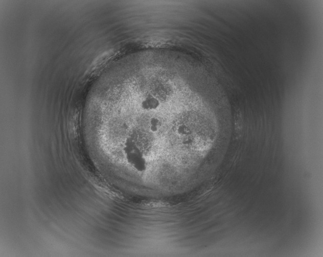 X0000076320503200610201642