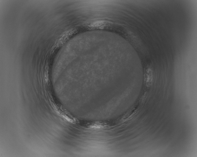 X0000076320504200610201642