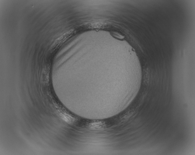 X0000076320505200610201642