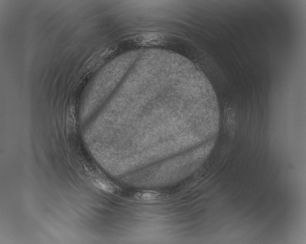 X0000076320506200610201642