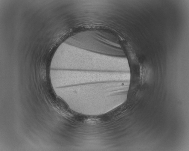 X0000076320508200610201642