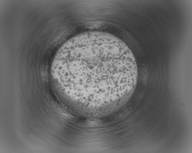 X0000076320510200610201642