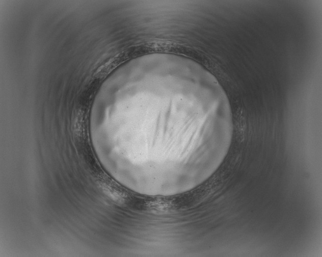 X0000076320511200610201642