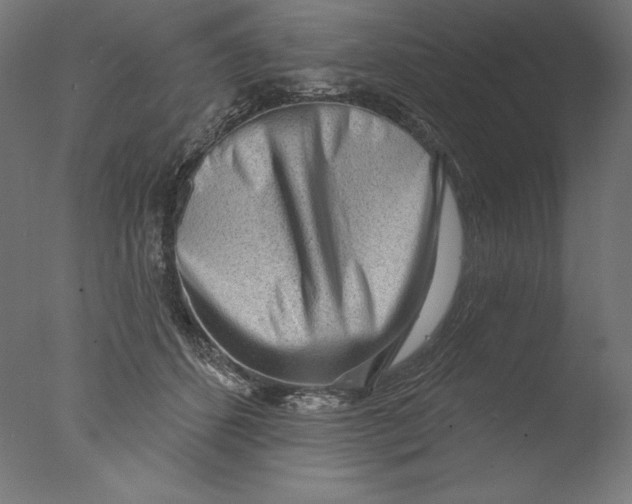 X0000076320512200610201642