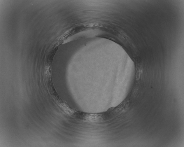 X0000076320521200610201642