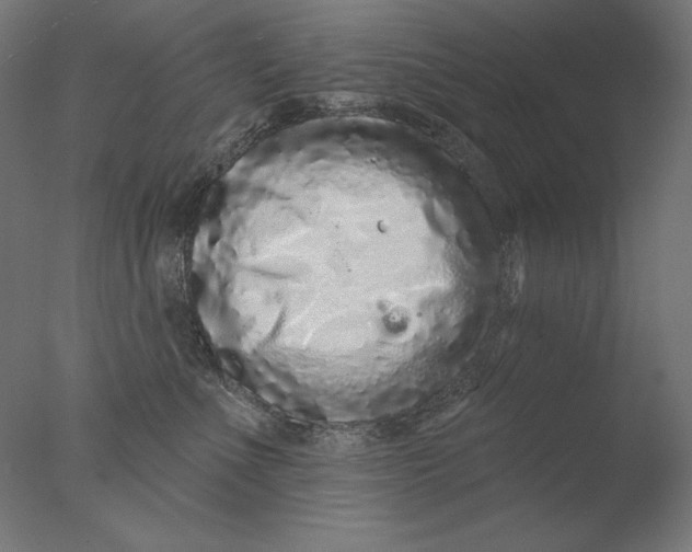 X0000076320523200610201642