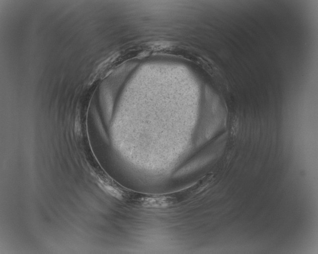 X0000076320524200610201642