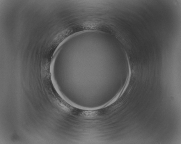 X0000076320526200610201642