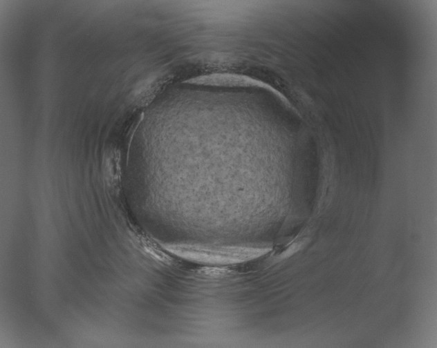 X0000076320528200610201642