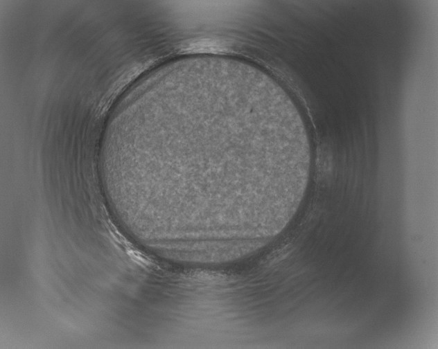 X0000076320529200610201641