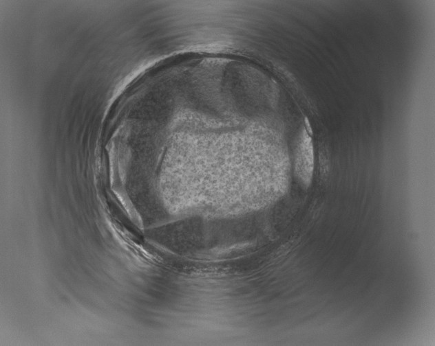 X0000076320532200610201641