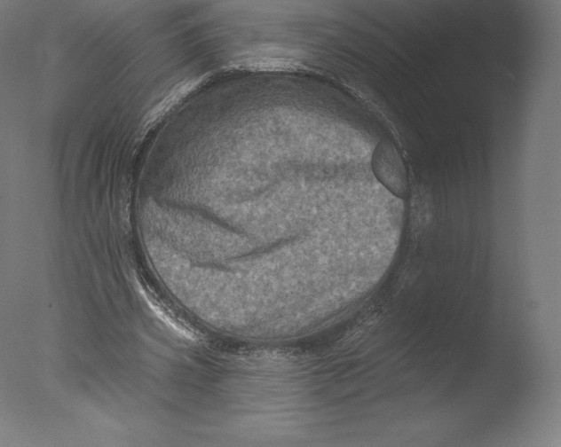 X0000076320533200610201641