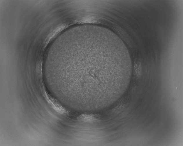 X0000076320534200610201641