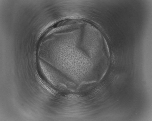 X0000076320535200610201641