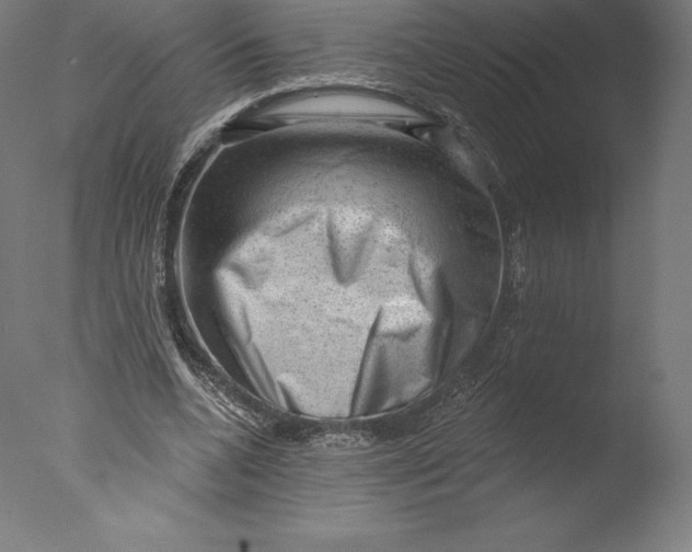 X0000076320536200610201641