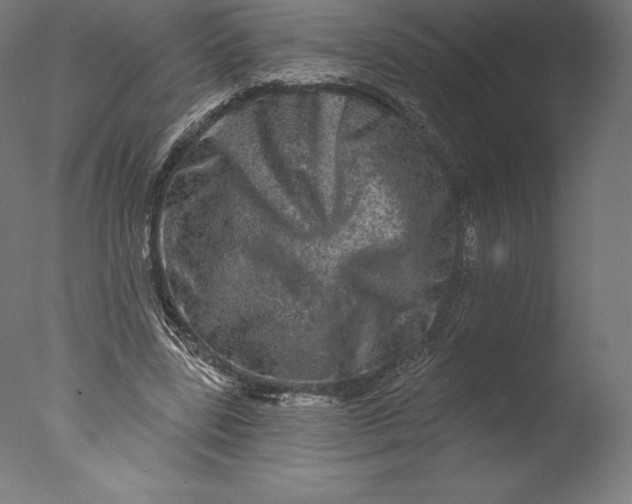 X0000076320539200610201641