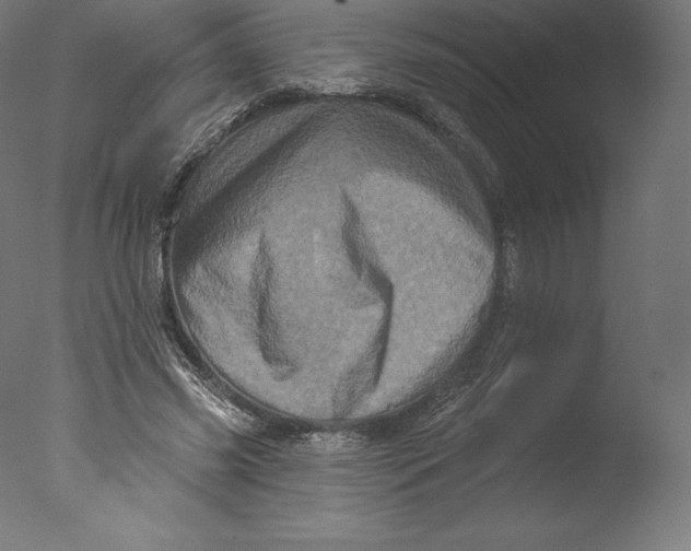 X0000076320541200610201641