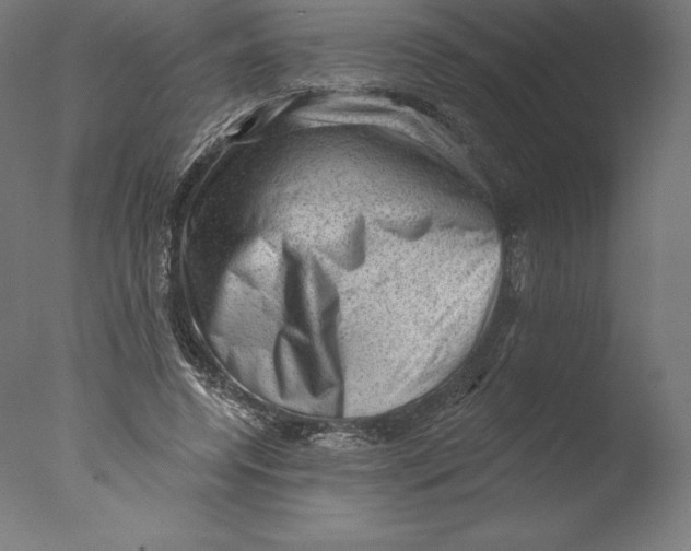 X0000076320544200610201641