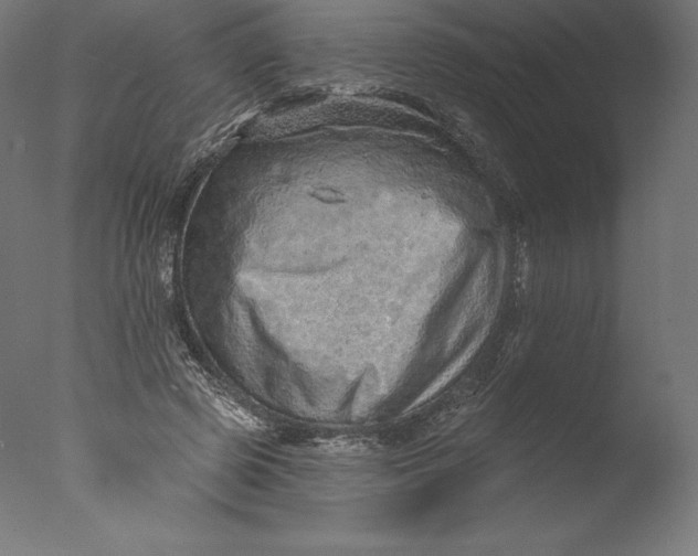 X0000076320545200610201641