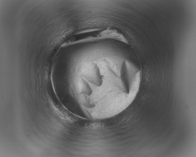 X0000076320546200610201641