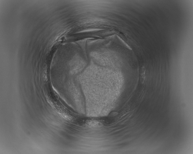 X0000076320547200610201641