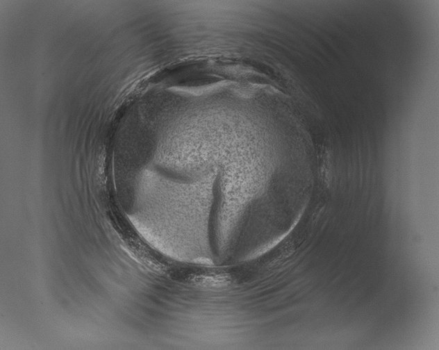 X0000076320548200610201641