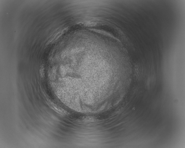 X0000076320549200610201641