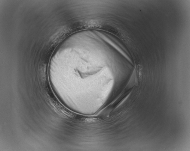 X0000076320550200610201641