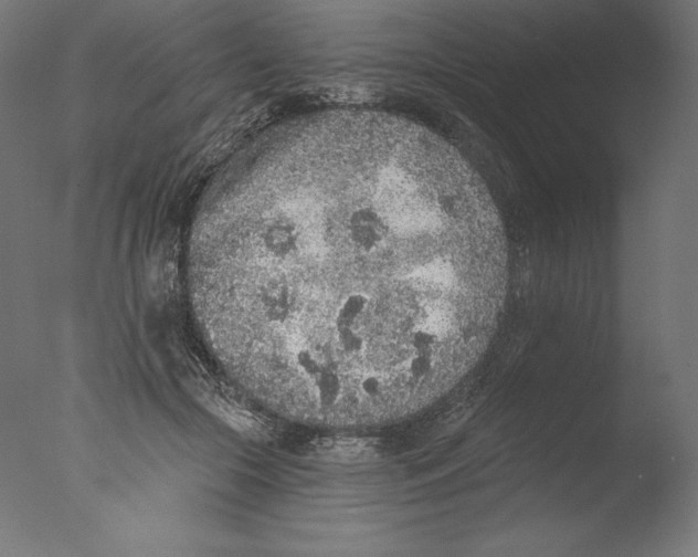 X0000076320553200610201641