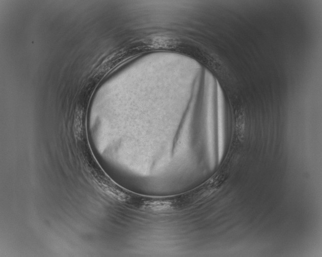 X0000076320554200610201641