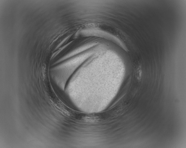 X0000076320556200610201641