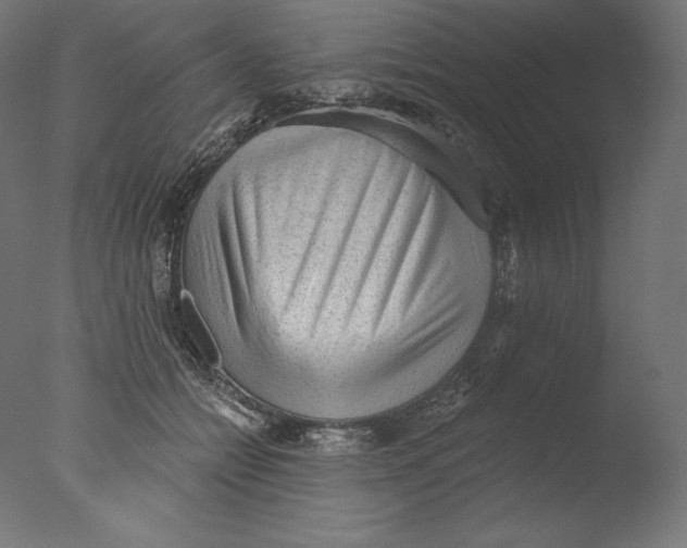 X0000076320558200610201641