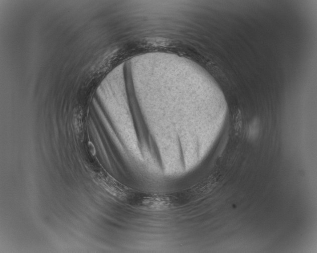 X0000076320559200610201641