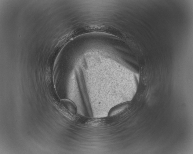 X0000076320563200610201642