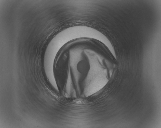 X0000076320564200610201642