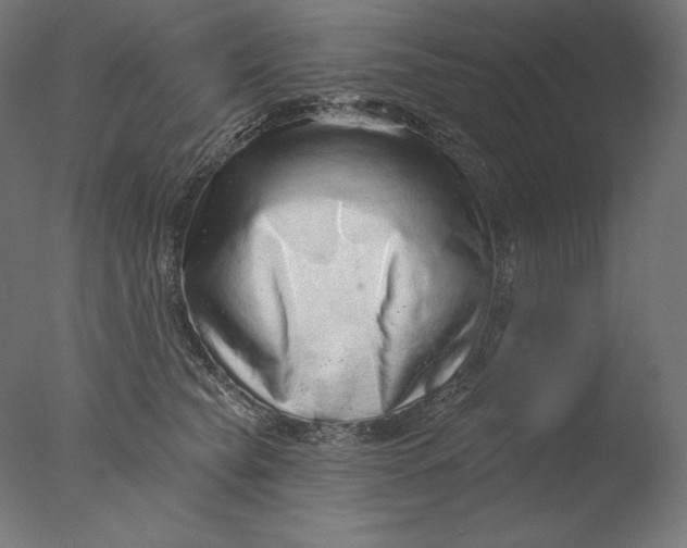 X0000076320565200610201642