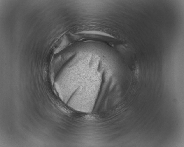 X0000076320566200610201642